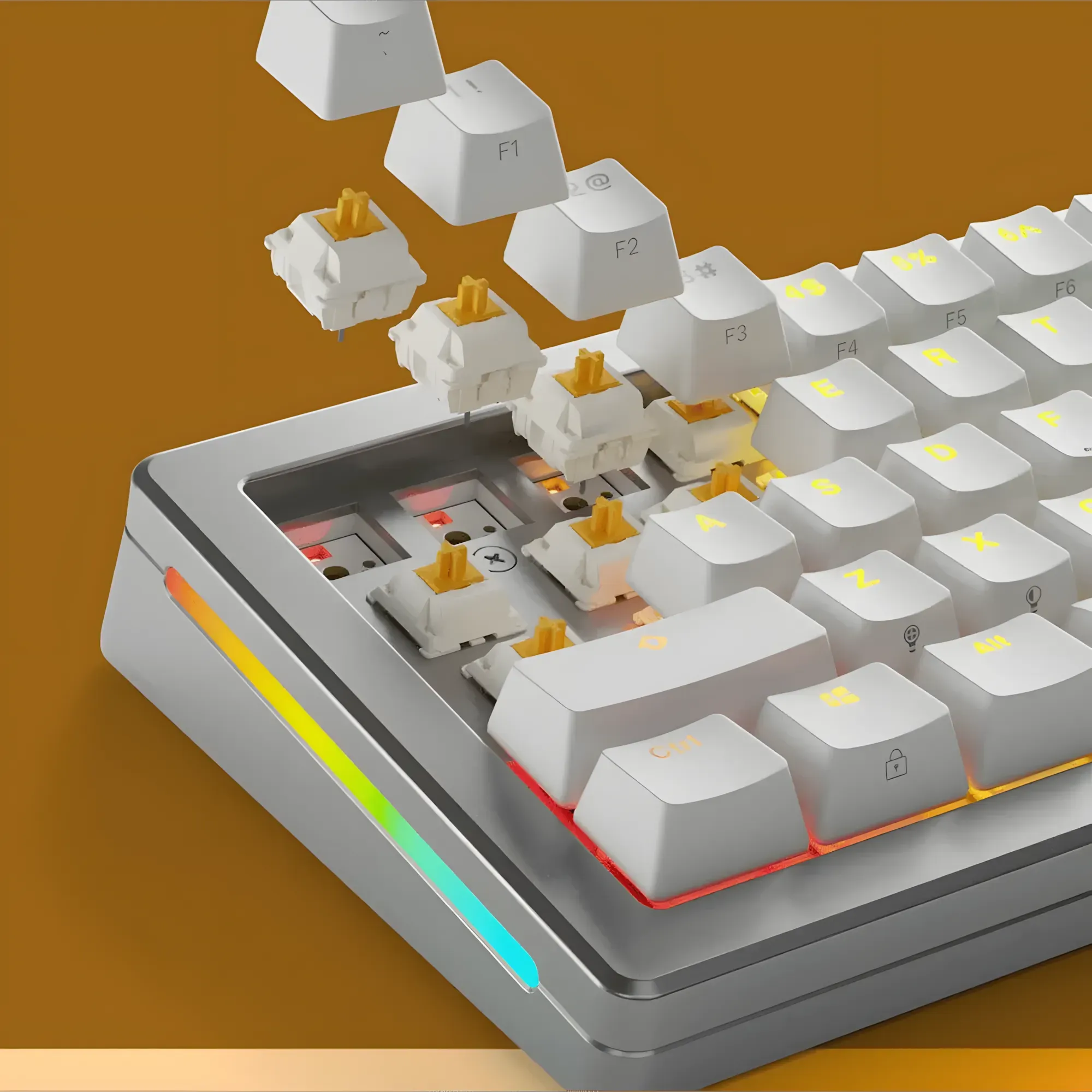 Glorious Panda Mechanical Keyboard Switches – Tactile • 36-Pack • RGB Compatible